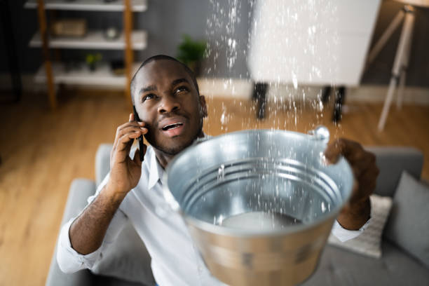 Best Flood restoration services  in Sunnyside, CA