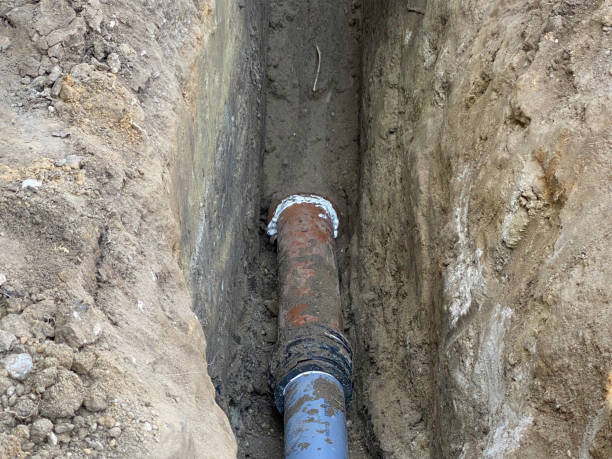 Best Flood damage cleanup  in Sunnyside, CA