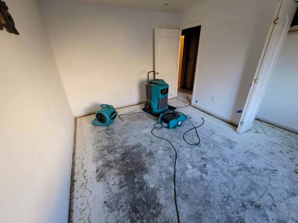 Best Emergency water extraction  in Sunnyside, CA