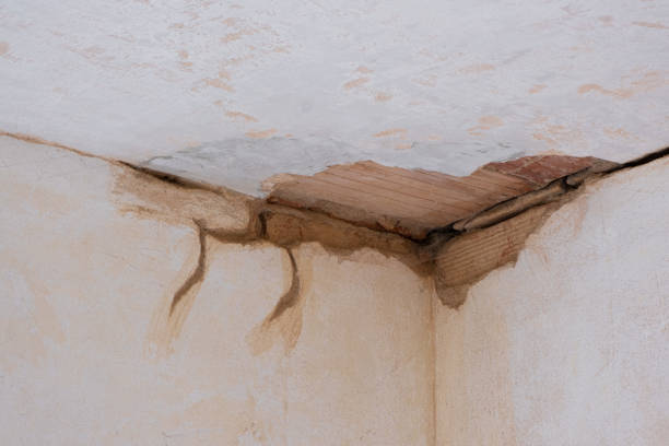 Best Basement water damage restoration  in Sunnyside, CA
