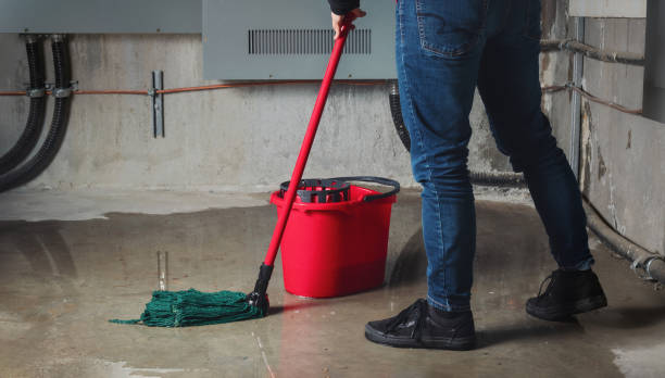 Best Professional water damage repair  in Sunnyside, CA