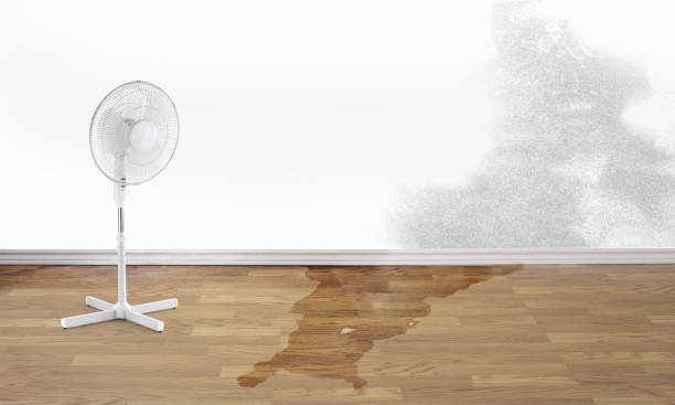 Best Sewage cleanup and water damage restoration  in Sunnyside, CA