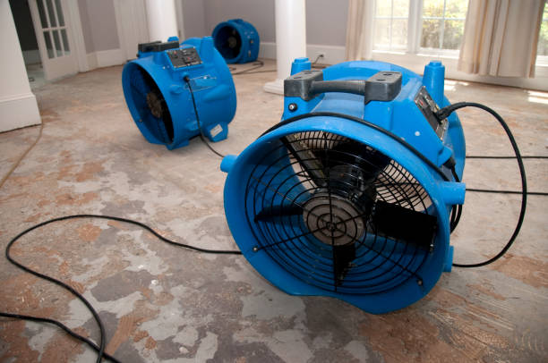 Best Commercial water damage restoration  in Sunnyside, CA