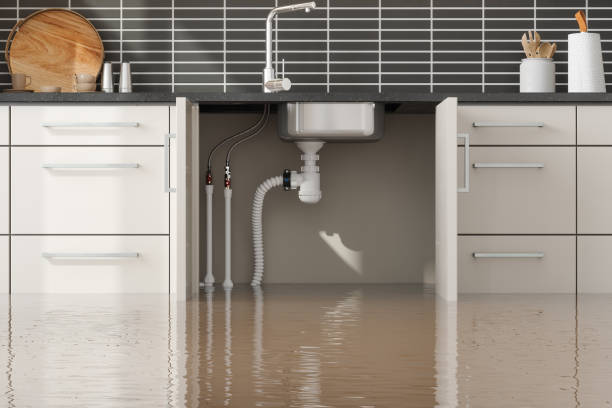 Best 24-hour water damage restoration  in Sunnyside, CA